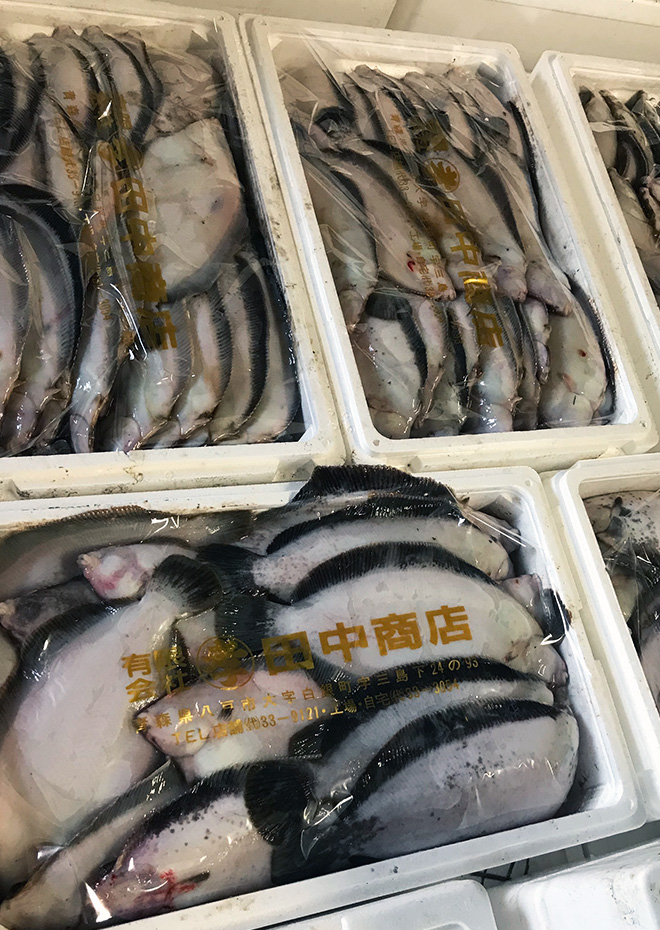 新鮮な魚介を地元販売